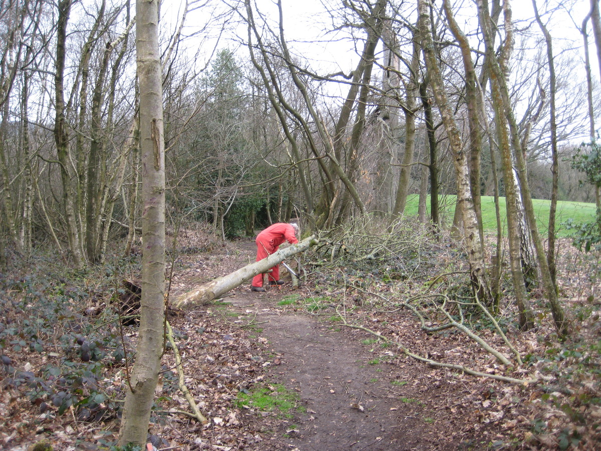 20 March clearing fallen tree across path